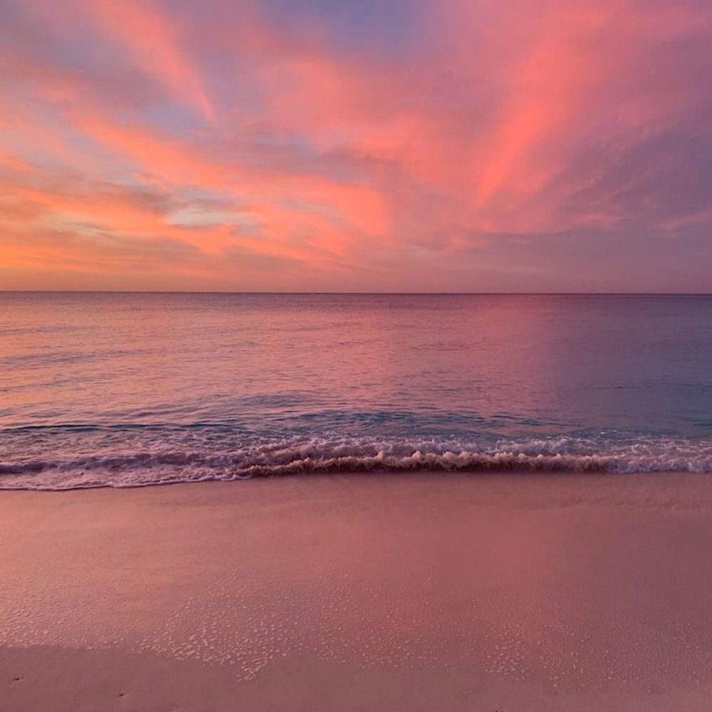 Meet your Posher, Eladia